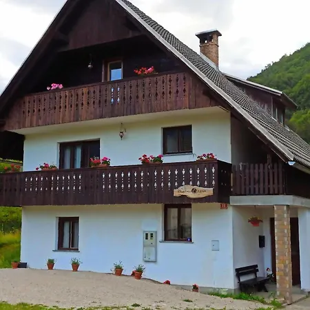 River View Irena Apartament Bohinj