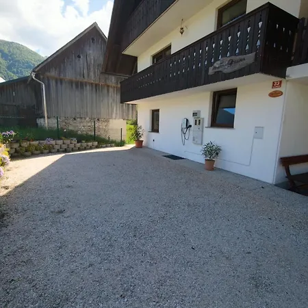 River View Irena Appartement Bohinj