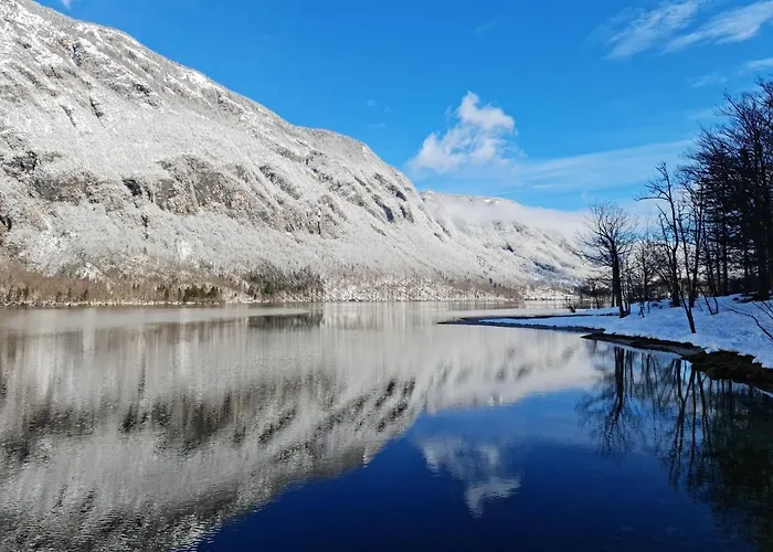 River View Irena * Bohinj